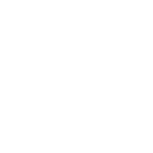 PortalCam spatial depth capture versus flat image capture