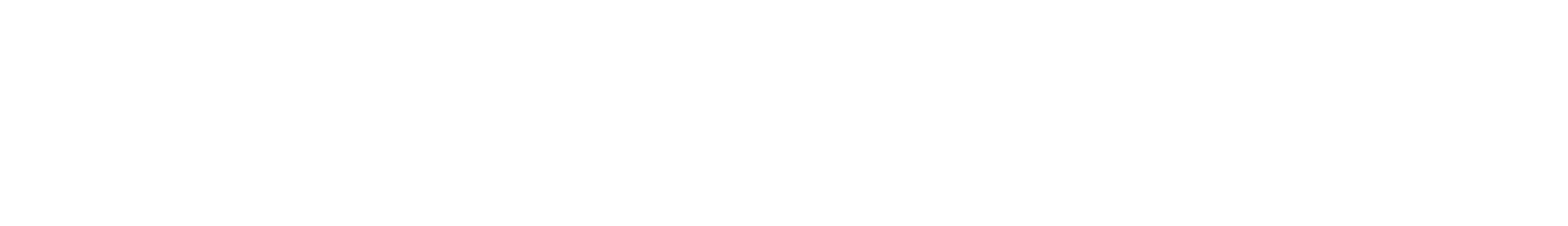 LixelStudio