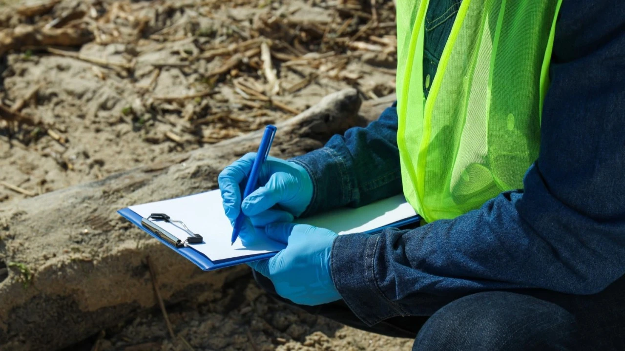 Site Investigation Review